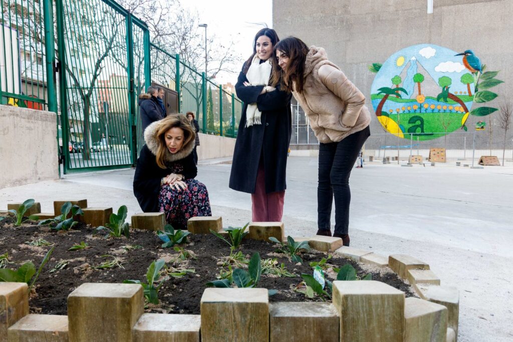 colegios adapta tu patio