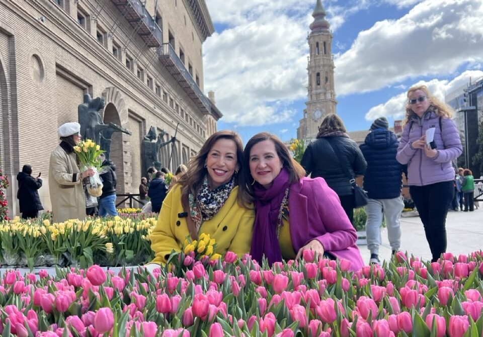 mercado de los tulipanes