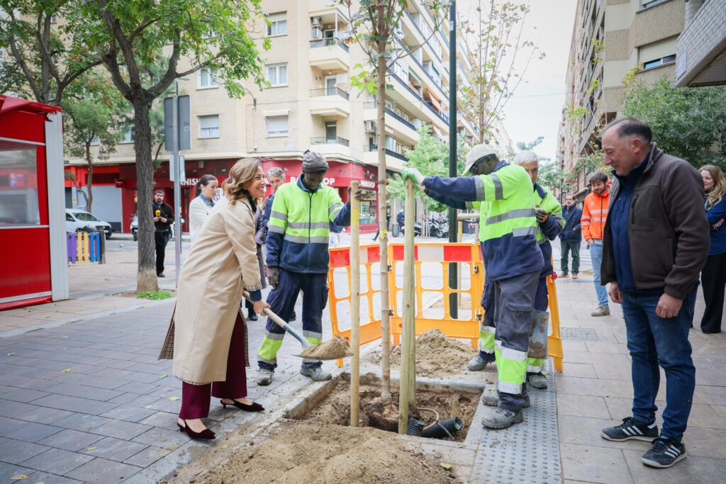 plantacion alcorques zaragoza